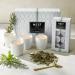 Shop NEST New York White Tea & Rosemary Alfresco Tealight Tealights Set Online - Best Price & International Shipping - Buy Online on SooperMarket.com