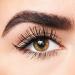Shop tarte Opening Act Lash Primer - 0.24 oz/ 7.1 mL Online - Best Price & International Shipping - Buy Online on SooperMarket.com