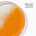 Shop CLINIQUE Fresh Pressed Renewing Powder Cleanser with Pure Vitamin C - 28 x 0.01 oz/ 0.5 g packets Online - Best Price & International Shipping - Buy Online on SooperMarket.com