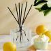 Shop NEST New York Amalfi Lemon & Mint Reed Diffuser - 5.9 oz/ 175 mL Online - Best Price & International Shipping - Buy Online on SooperMarket.com
