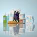 Shop goop G.Tox Ultimate Dry Brush Online - Best Price & International Shipping - Buy Online on SooperMarket.com