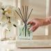 Shop NEST New York Wild Mint & Eucalyptus Reed Diffuser - 5.9 oz/ 175 mL Online - Best Price & International Shipping - Buy Online on SooperMarket.com