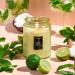 Shop VOLUSPA Havana Mint Mojito Glass Jar Candle - 18 oz/ 510 g Online - Best Price & International Shipping - Buy Online on SooperMarket.com