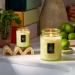 Shop VOLUSPA Havana Mint Mojito Glass Jar Candle - 18 oz/ 510 g Online - Best Price & International Shipping - Buy Online on SooperMarket.com