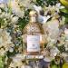 Shop GUERLAIN Aqua Allegoria Pera Granita Eau de Toilette - 2.5 oz / 75 mL Online - Best Price & International Shipping - Buy Online on SooperMarket.com