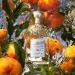 Shop GUERLAIN Aqua Allegoria Mandarine Basilic Eau de Toilette - 2.5 oz / 75 mL Online - Best Price & International Shipping - Buy Online on SooperMarket.com