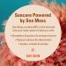 Shop CAY SKIN Isle Body Oil Sunscreen SPF 30 with Sea Moss and Squalane - 3.7 oz / 110 mL Online - Best Price & International Shipping - Buy Online on SooperMarket.com
