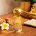 Shop Sol de Janeiro SOL Cheirosa '62 Eau de Parfum - 1.7 oz / 50 mL Eau de Parfum Spray Online - Best Price & International Shipping - Buy Online on SooperMarket.com