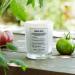 Shop Maison Margiela 'REPLICA' From the Garden Candle - 5.8 oz 1 wick candle Online - Best Price & International Shipping - Buy Online on SooperMarket.com