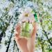 Shop Marc Jacobs Fragrances Daisy Wild Eau de Parfum Travel Spray - 0.33 oz / 10 mL eau de parfum Online - Best Price & International Shipping - Buy Online on SooperMarket.com