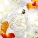 Shop FORVR Mood Fine Fragrance Discovery Set Online - Best Price & International Shipping - Buy Online on SooperMarket.com