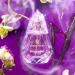 Shop FORVR Mood Fine Fragrance Discovery Set Online - Best Price & International Shipping - Buy Online on SooperMarket.com