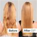 Shop Act+Acre Stem Cell Shampoo For Thicker+ Fuller-Looking Hair - 10 oz Online - Best Price & International Shipping - Buy Online on SooperMarket.com