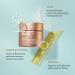 Shop Biossance Squalane + Ectoin Overnight Rescue Deep Repair Night Cream - 1.69 oz / 50 mL Online - Best Price & International Shipping - Buy Online on SooperMarket.com