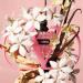 Shop Valentino Donna Born In Roma Gift Set Online - Best Price & International Shipping - Buy Online on SooperMarket.com