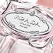 Shop Prada Infusion de Rose Eau de Parfum Travel Spray - 0.34 oz eau de parfum spray Online - Best Price & International Shipping - Buy Online on SooperMarket.com