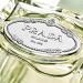 Shop Prada Infusion d'Iris Eau de Parfum Travel Spray - 0.34 oz eau de parfum spray Online - Best Price & International Shipping - Buy Online on SooperMarket.com