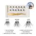Shop Velour Lashes Velour-Xtensions Self-Stick Lash Kit - Standard size Online - Best Price & International Shipping - Buy Online on SooperMarket.com
