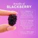 Shop Glow Recipe Blackberry Retinol Blemish Serum - 1 oz / 30 ml Online - Best Price & International Shipping - Buy Online on SooperMarket.com