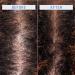 Shop AAVRANI Jelly Clarifying Detox Shampoo for Scalp & Hair - 8.4 oz / 250 ml Online - Best Price & International Shipping - Buy Online on SooperMarket.com