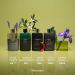 Shop Gucci Guilty Essence Eau de Toilette - 3 oz / 90 ml eau de toilette spray Online - Best Price & International Shipping - Buy Online on SooperMarket.com