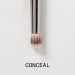 Shop ciele Dual-Ended Concealer Brush Online - Best Price & International Shipping - Buy Online on SooperMarket.com