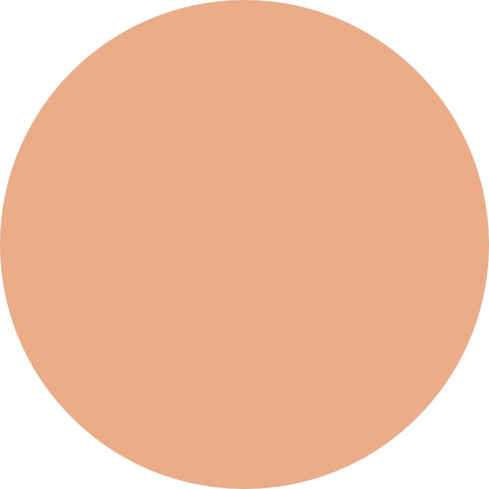 25H Light-Medium light to medium skin with peach undertones 0.035 oz