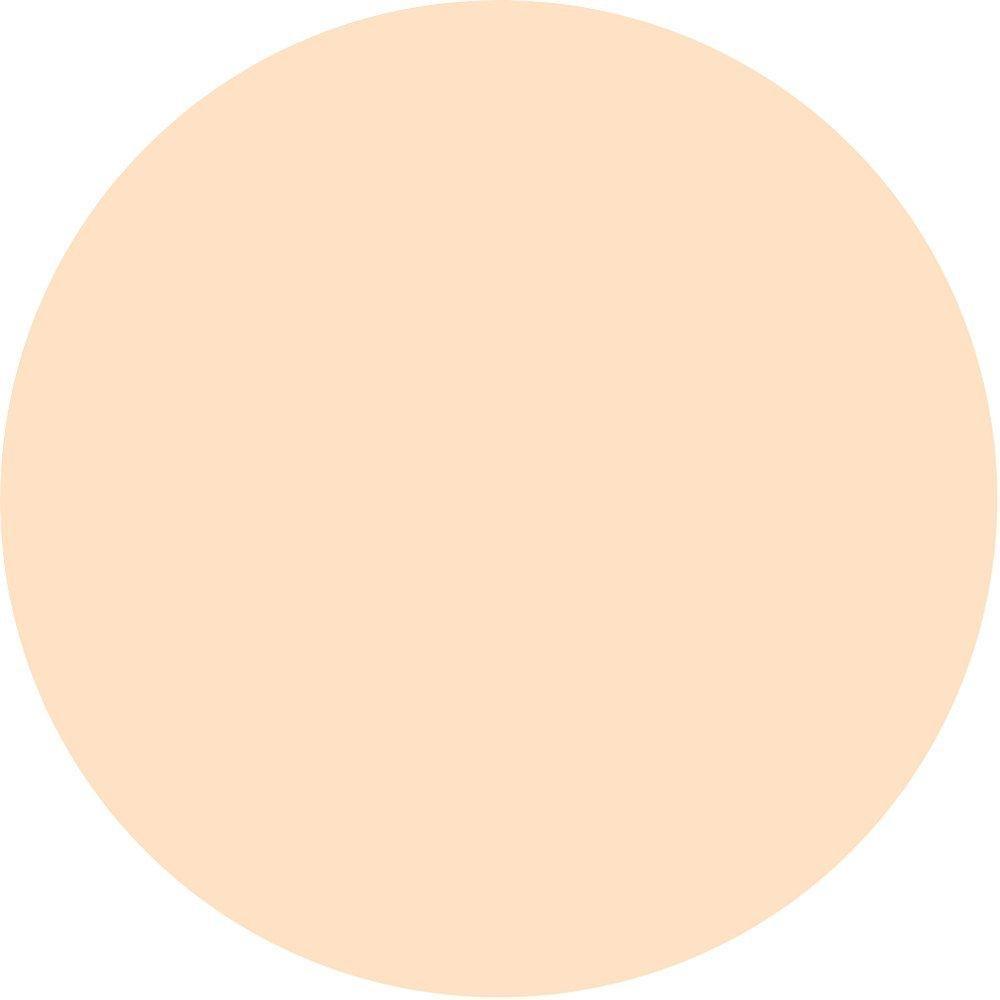 16N Fair-Light Neutral 1.0 oz