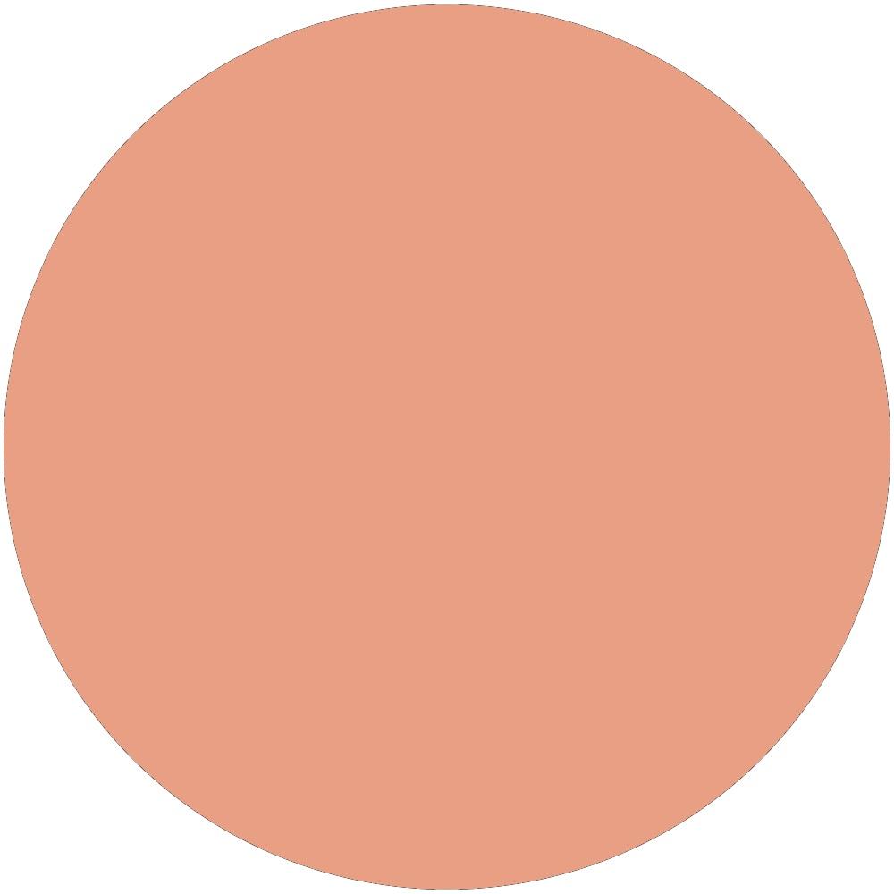 Matte Light Rosy 0.26 oz