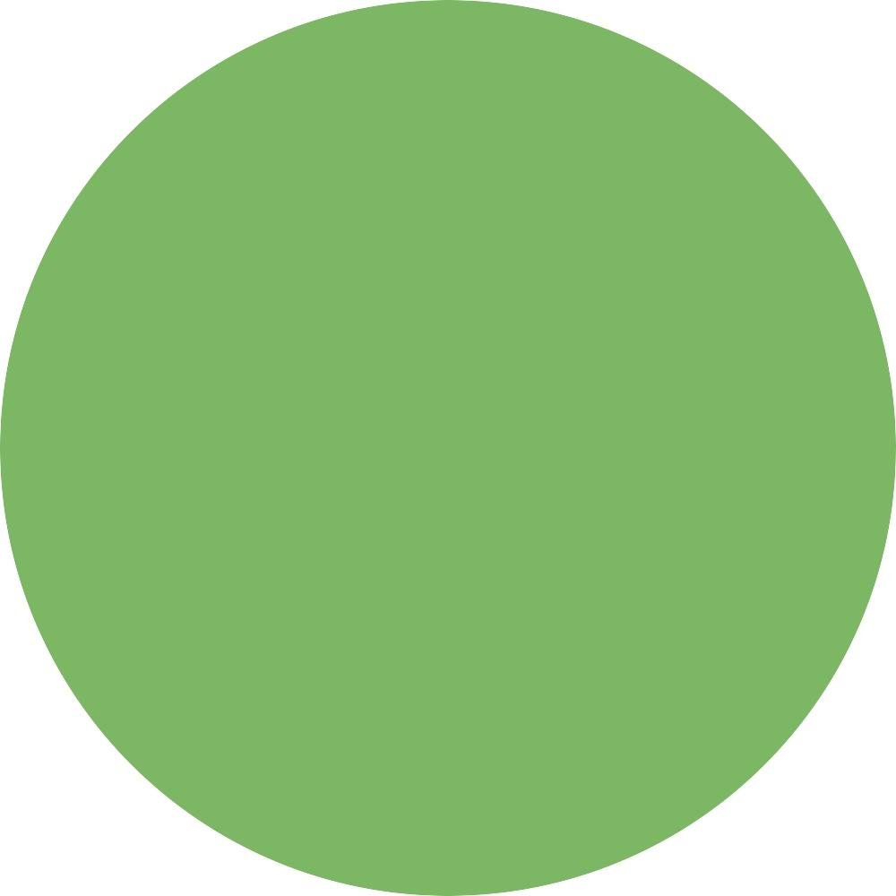 Kiwi 0.095 oz