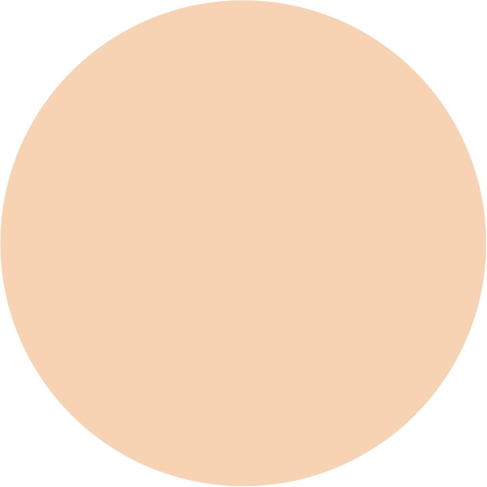 16N Fair Light Neutral 0.033 oz