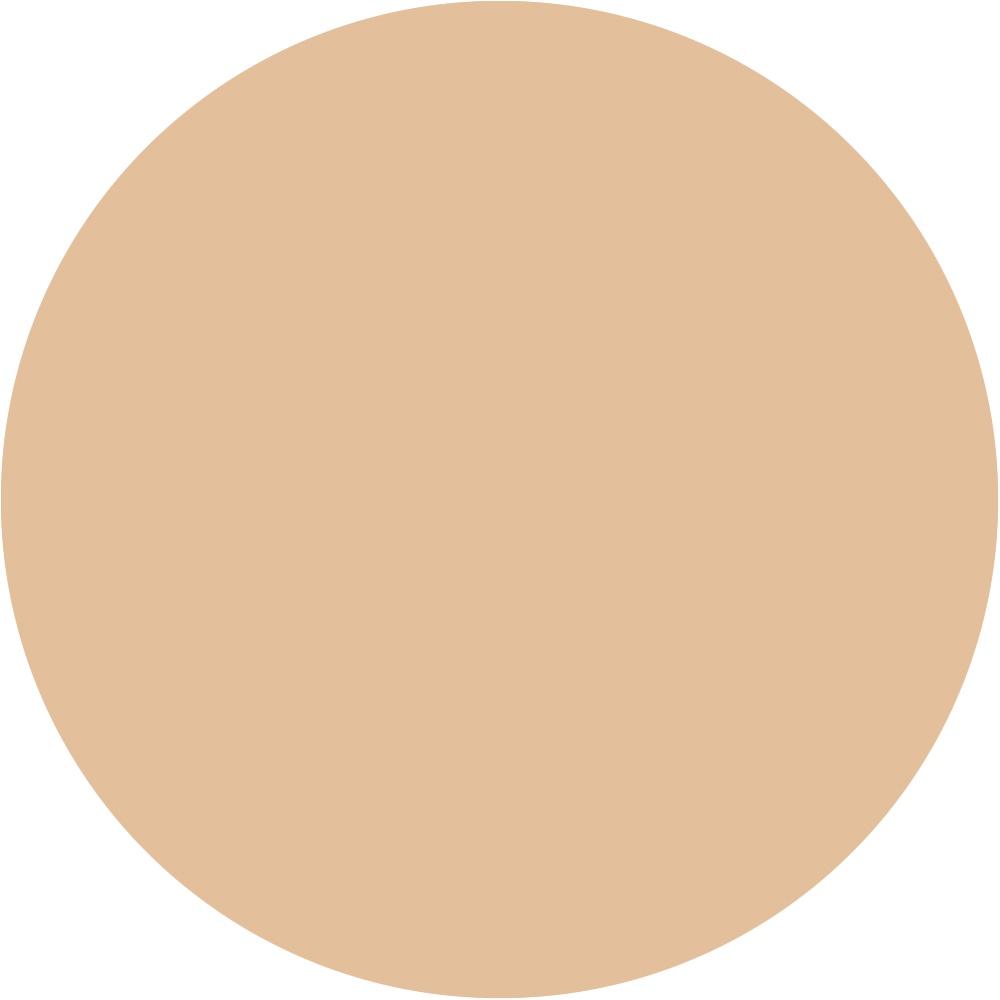 22N Light Neutral 0.033 oz