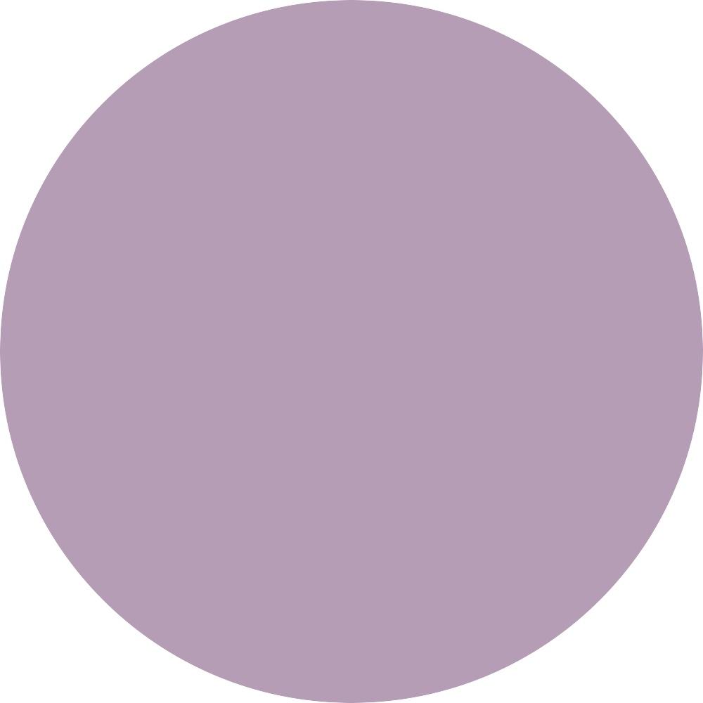 Aster - Matte 0.12 oz