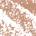 0.003 oz/ 0.085 g Taupe - light taupe