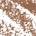 0.003 oz / 0.08g Soft Blonde - for platinum to light blonde hair