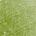0.49 oz / 1.4 g Algae Babe - bright cactus green