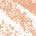 0.012 oz / 0.35 g Gravitate - creamy beige matte
